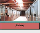 Stallung
