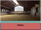 Hallen