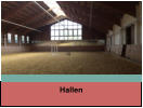 Hallen