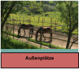 Außenplätze