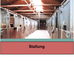 Stallung