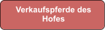 Verkaufspferde des Hofes