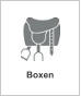 Boxen