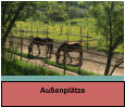 Außenplätze
